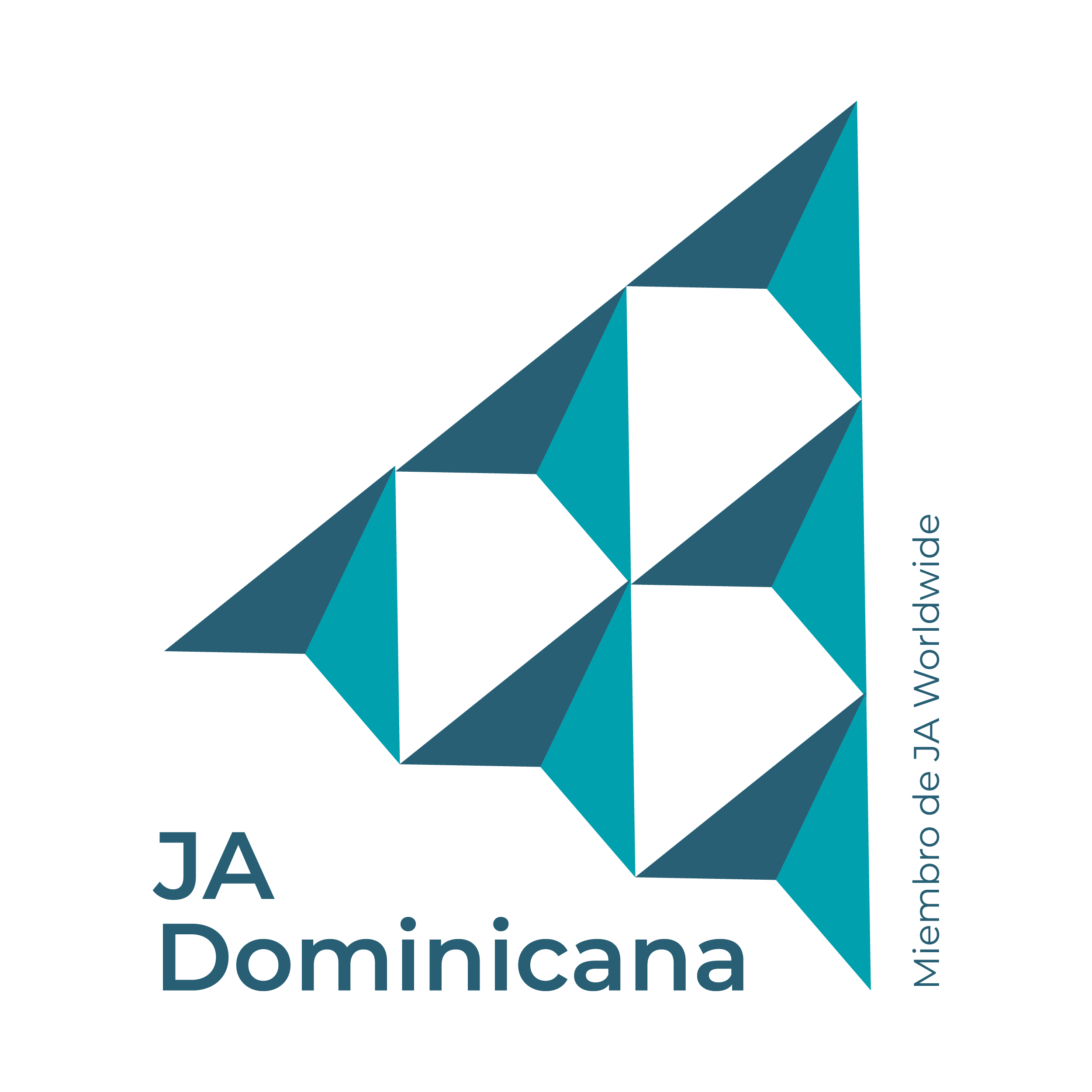 Fundacion 1
